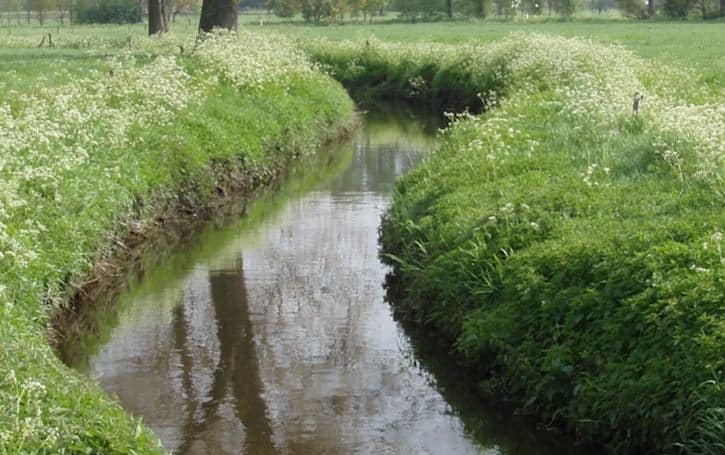 Wat heeft de provincie met water?
